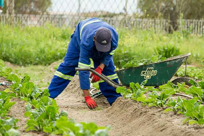Farming For All program teaching sustainable agriculture practices